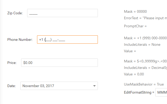 Masked Input - ASP.NET AJAX Data Editors DevExpress