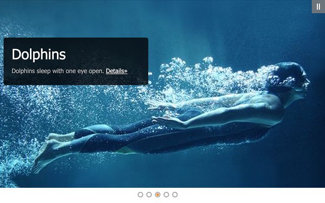 Image Slider - Slide Show