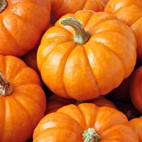 Pumpkins