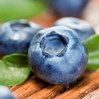 Blueberries with leaves on wooden background